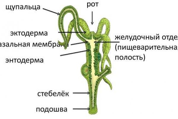 Что такое код аккаунта на блэкспруте