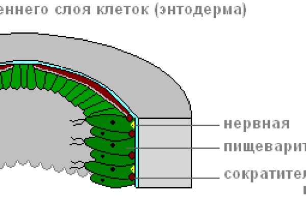 Блекспрут через тор blacksprut